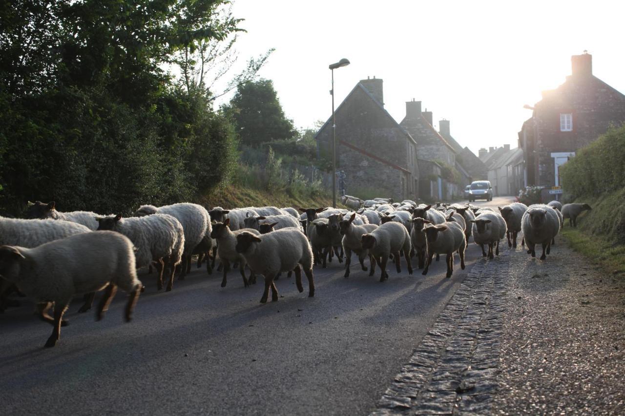 Charmante Maison De Pecheur En Baie Du Mont Saint Michel Genêts Kültér fotó
